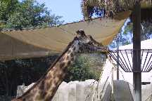 meIMG_2822.jpg