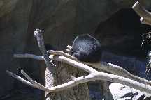 meIMG_2829.jpg