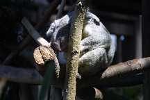 meIMG_2838.jpg