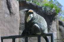 meIMG_2875.jpg
