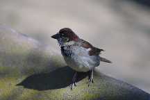 meIMG_2886.jpg
