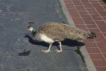 meIMG_2903.jpg