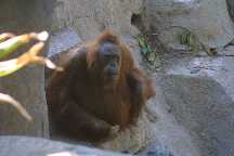 meIMG_2912.jpg