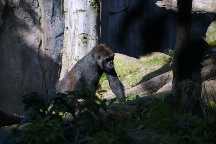 meIMG_2920.jpg