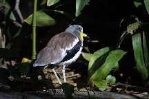 meIMG_2925.jpg