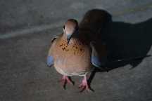 meIMG_2928.jpg