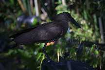 meIMG_2929.jpg