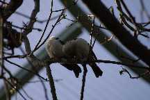 meIMG_2932.jpg