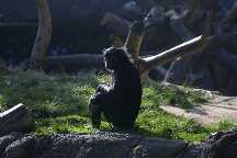 meIMG_2933.jpg