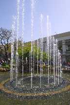 meIMG_2961.jpg