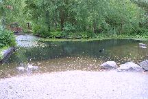 meIMG_3559.jpg