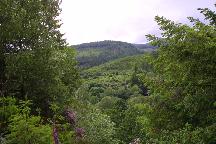 meIMG_3560.jpg