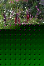 meIMG_3561.jpg