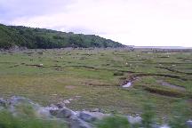 meIMG_3624.jpg