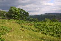 meIMG_3659.jpg