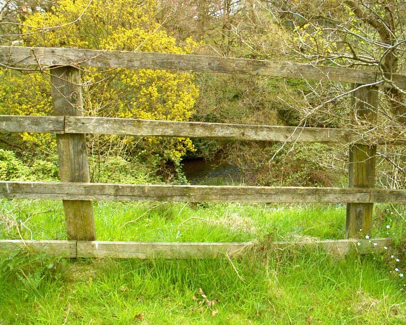 me000872.JPG