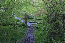 meIMG_3381.jpg