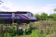 meIMG_3385.jpg
