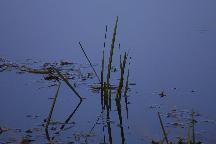 meIMG_3389.jpg