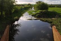 meIMG_3399.jpg