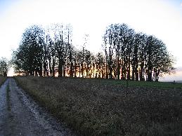 meIMG_0561.jpg