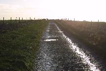 meIMG_4026.jpg