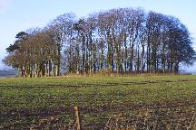 meIMG_4030.jpg