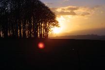 meIMG_4052.jpg