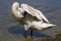 meIMG_1243.jpg
