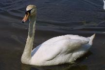 meIMG_1244.jpg
