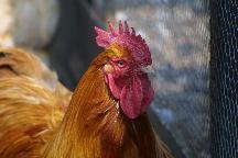 meIMG_1246.jpg