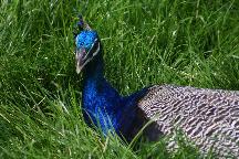 meIMG_1247.jpg