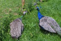 meIMG_1248.jpg