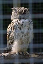 meIMG_1249.jpg