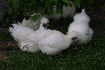 meIMG_1250.jpg