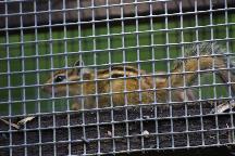 meIMG_1251.jpg