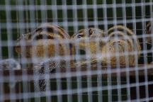 meIMG_1252.jpg