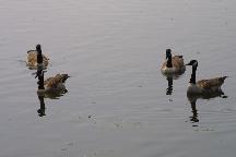 meIMG_1255.jpg