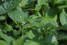 meIMG_1257.jpg